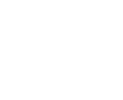 Reliten